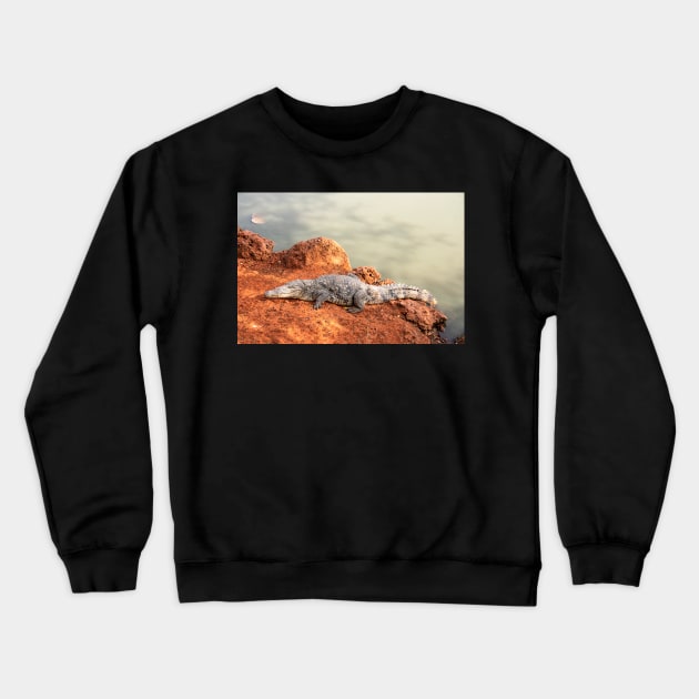 Crocodile Crewneck Sweatshirt by Graz-Photos